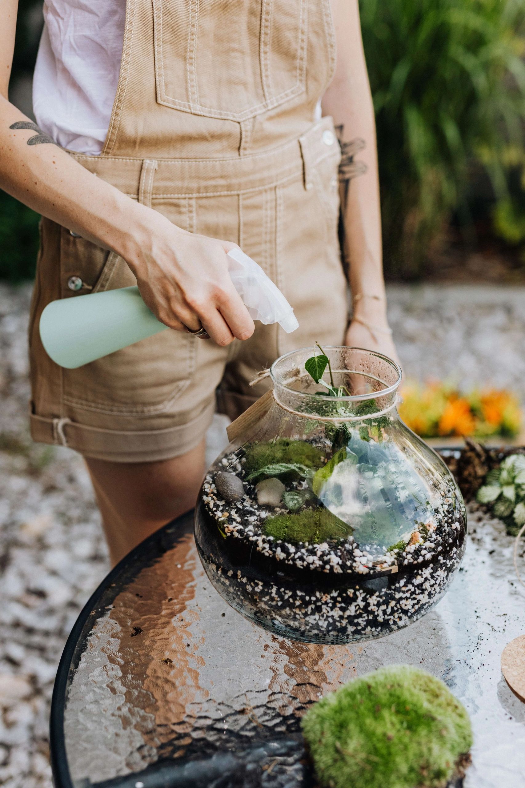 Fog terrarium best sale